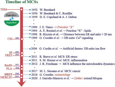 Relevance of Membrane Contact Sites in Cancer Progression